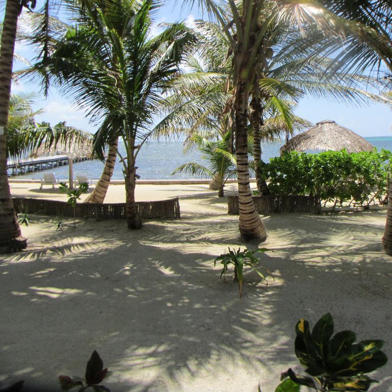 Cocotal Inn And Cabanas San Pedro  Εξωτερικό φωτογραφία