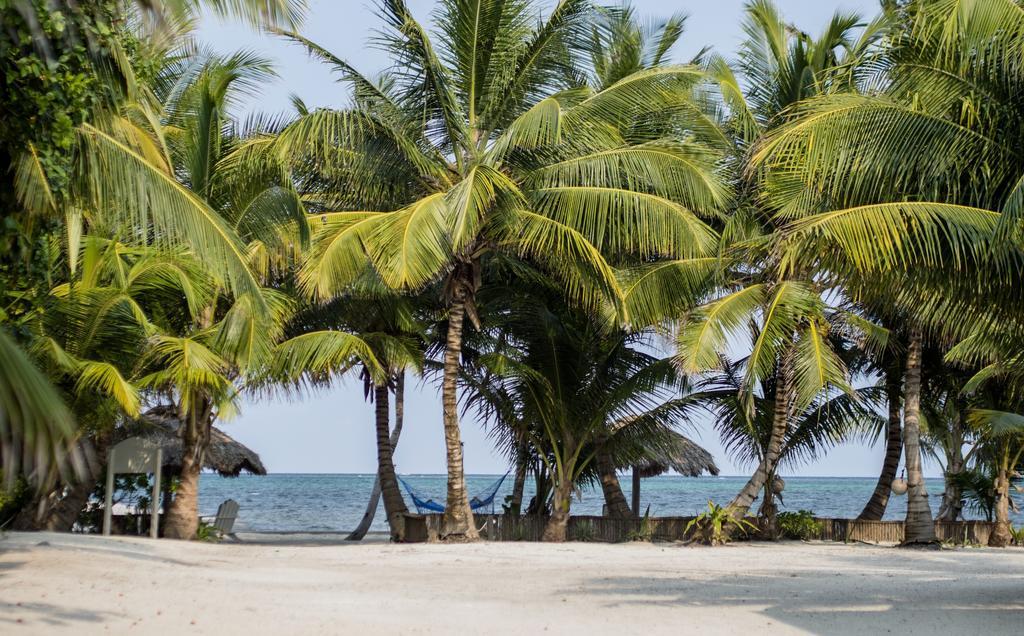 Cocotal Inn And Cabanas San Pedro  Εξωτερικό φωτογραφία
